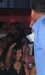 carnivalfever-04