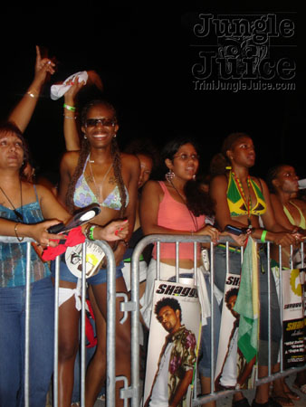 dbeach_bash-01