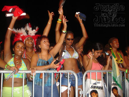 dbeach_bash-07
