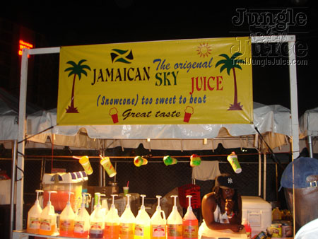 dbeach_bash-13