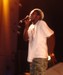 dbeach_bash-12
