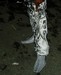 soca_4_summer-066