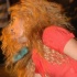 ac_ny_2006-041