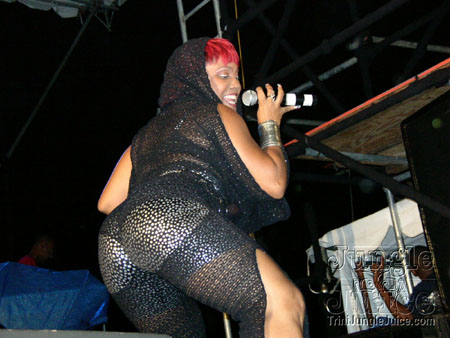 amnesia_2006-056