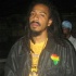 reggae_all_stars-75