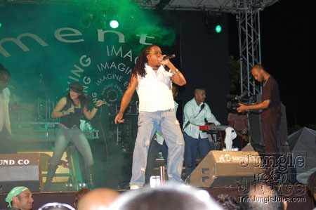 amnesia_2007-050
