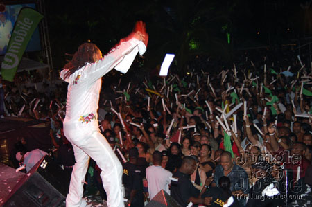 amnesia_2007-124