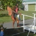 beach_house_carnival_2007-018