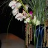 blue_martini_oct07-002