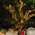 bpf_sept07-051