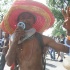 dc_carnival_2007_pt2-090