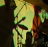 evolve3-09