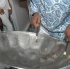 glow7_touch_of_blue-087