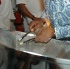 glow7_touch_of_blue-090