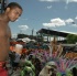 ip_tues_2007_pt2-033
