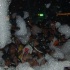 soca_rave_the_peoples_fete-069