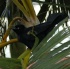 stlucia_food_rum_2007_fri-003