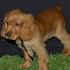 the_picnic_2007-057