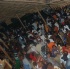 the_shade_aug24-046