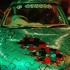 carshow_tobago_jul07-048