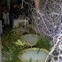 tribe_bliss_2007-005