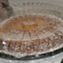 breakfast_in_bed-031