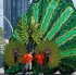 toronto_caribana_08-113