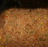 change_jul4-098
