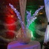 clear_dec16-004