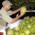 genx_wetfete_2008-115