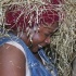 gyal_farm_ny_apr08-136