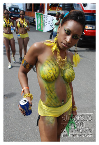 ip_mon_2008_pt1-003