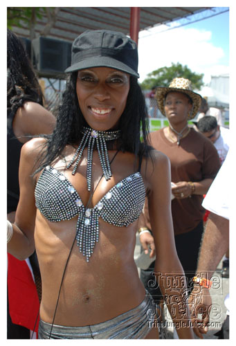 ip_mon_2008_pt1-078