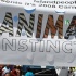 ip_mon_2008_pt1-042