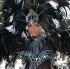 ip_tuesday_2008_pt1-009
