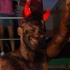 jouvert_2008-036
