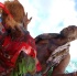 jouvert_2008-147