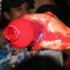 miami_jouvert_sept20-064