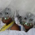 notting_hill_c2k8_poisonuk-208