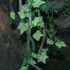 outback_may2k8-042