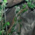 outback_may2k8-044
