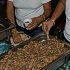 soca_fusion_2008-033