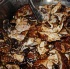 soca_fusion_2008-035