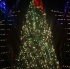 rango_xmas_dec13-051