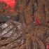 rango_xmas_dec13-098