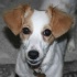 rango_xmas_dec13-132