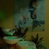 republic_all_incl_2008-013