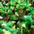 rotterdam_carnival_2008-088
