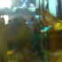 rubber_ducky_aug21-010