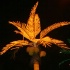 so_special_mardi_gras_aug15-064